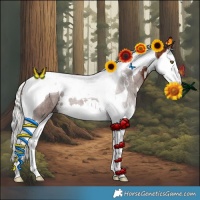Horse Color:White Spotted Silver Brown Splash Tobiano 