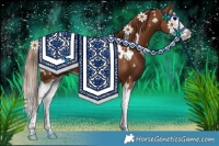 Horse Color:White Spotted Chestnut Splash