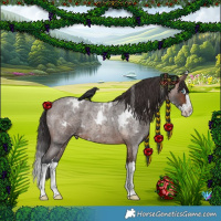 Horse Color:White Spotted Brown Roan Splash 