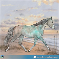 Horse Color:Silver Brown Ice Dun Sabino 