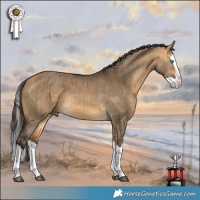 Horse Color:Buckskin Dun Splash Brindle