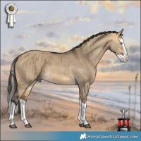Horse Color:Buckskin Dun Splash Brindle 