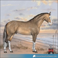 Horse Color:Buckskin Dun Splash Brindle 