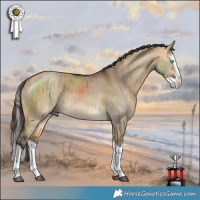 Horse Color:Buckskin Dun Splash Brindle 
