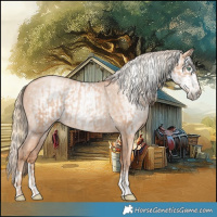 Horse Color:Gold Champagne Pearl Rabicano and Gray Gold Champagne Pearl Rabicano