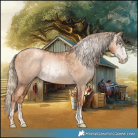 Horse Color:Gold Champagne Pearl Rabicano  and Gray Gold Champagne Pearl Rabicano 