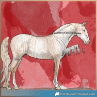 Horse Color:Gold Champagne Pearl Rabicano  and Gray Gold Champagne Pearl Rabicano 