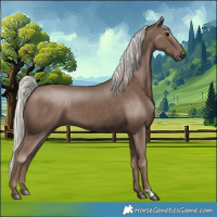 Horse Color:Silver Black 