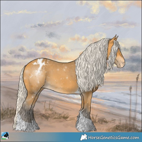 Horse Color:Silver Buckskin Tobiano Appaloosa 