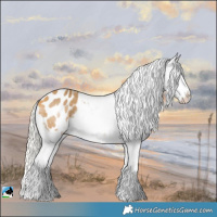 Horse Color:Silver Buckskin Tobiano Varnish