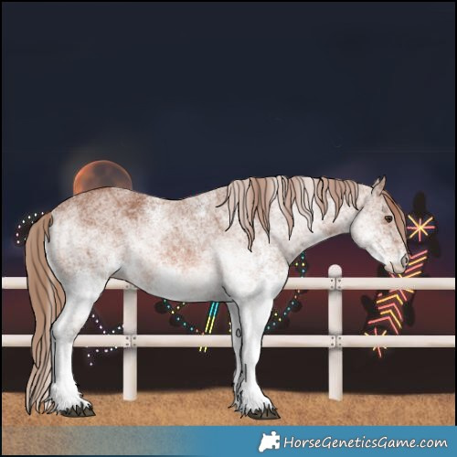 Horse Color:White Spotted Chestnut Rabicano 