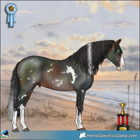 Horse Color:White Spotted Brown Splash Rabicano 