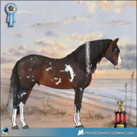 Horse Color:White Spotted Brown Splash Rabicano 