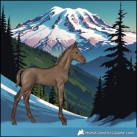 Horse Color:Liver Red Dun 