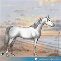 Horse Color:Gray Liver Chestnut Tobiano Rabicano 