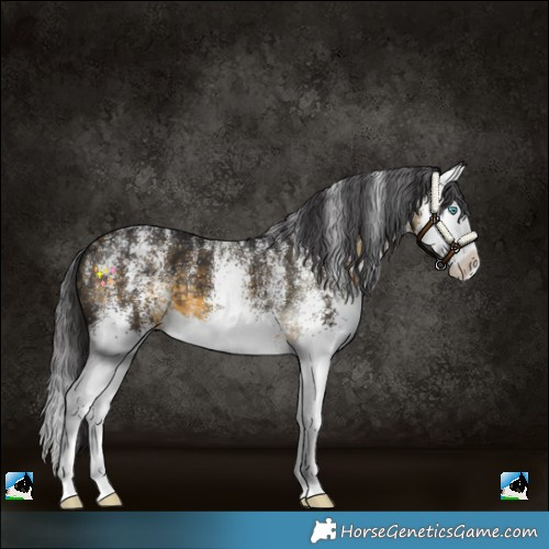 Horse Color:Powder White White Spotted Buckskin Splash 