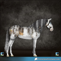 Horse Color:Powder White White Spotted Buckskin Splash
