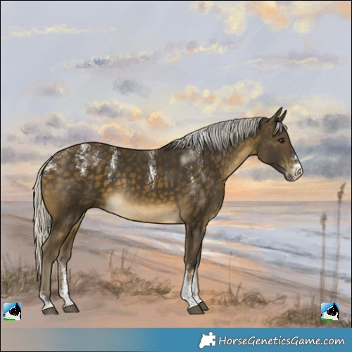 Horse Color:Powder White Silver Buckskin Rabicano