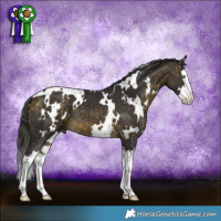 Horse Color:White Spotted Buckskin Splash 