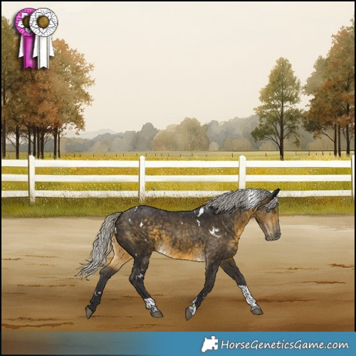 Horse Color:White Spotted Silver Buckskin Tobiano 