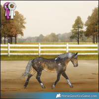 Horse Color:White Spotted Silver Buckskin Tobiano