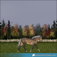 Horse Color:Silver Buckskin Tobiano