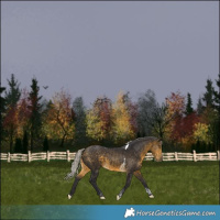 Horse Color:Silver Buckskin Tobiano 