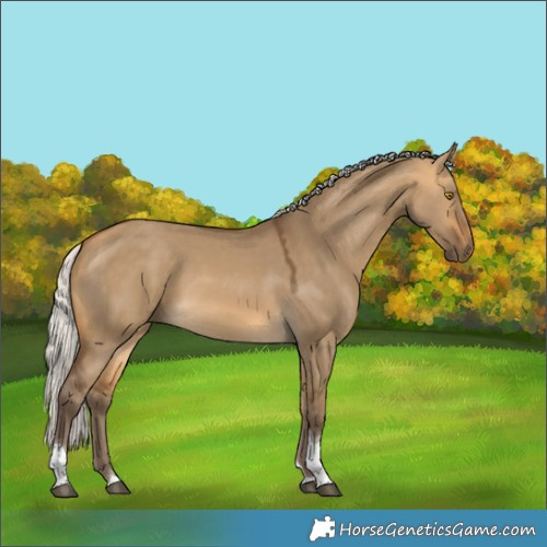 Horse Color:Silver Buckskin Dun Tobiano Rabicano 