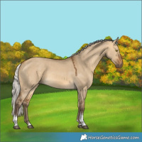 Horse Color:Silver Buckskin Dun Tobiano Rabicano