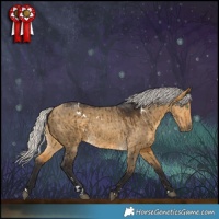 Horse Color:White Spotted Silver Buckskin Dun Brindle
