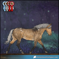 Horse Color:White Spotted Silver Buckskin Dun Brindle