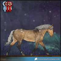 Horse Color:White Spotted Silver Buckskin Dun Brindle