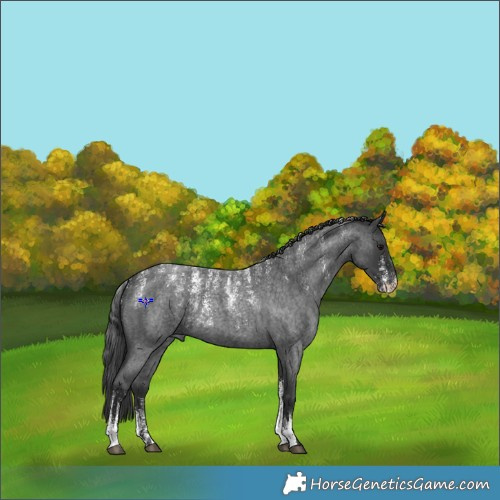 Horse Color:Powder White Blue Roan 
