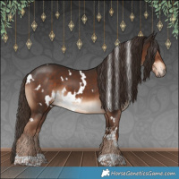Horse Color:White Spotted Liver Chestnut