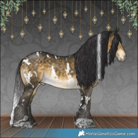 Horse Color:White Spotted Buckskin