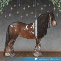 Horse Color:White Spotted Liver Chestnut 