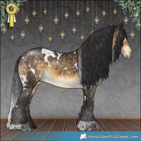 Horse Color:White Spotted Buckskin 