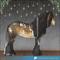 Horse Color:White Spotted Buckskin 