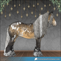 Horse Color:White Spotted Silver Buckskin