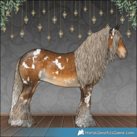 Horse Color:White Spotted Chocolate Palomino 