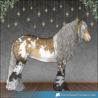 Horse Color:White Spotted Silver Buckskin Dun 