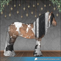 Horse Color:White Spotted Bay Dun
