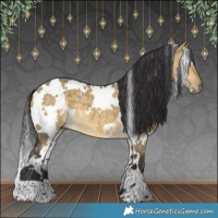 Horse Color:White Spotted Buckskin Dun 
