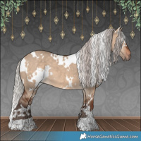 Horse Color:White Spotted Silver Bay Dun