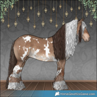 Horse Color:White Spotted Liver Red Dun 
