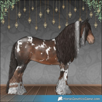 Horse Color:White Spotted Liver Chestnut 