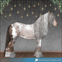 Horse Color:White Spotted Liver Chestnut 