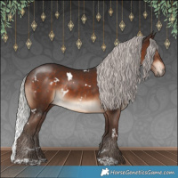 Horse Color:White Spotted Silver Brown