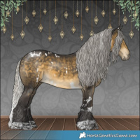 Horse Color:White Spotted Silver Buckskin 