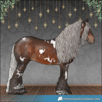 Horse Color:White Spotted Silver Brown